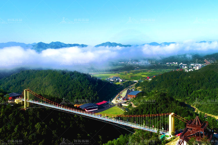 柃蜜小镇全景