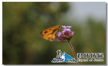 武汉东西湖柏泉教育基地
