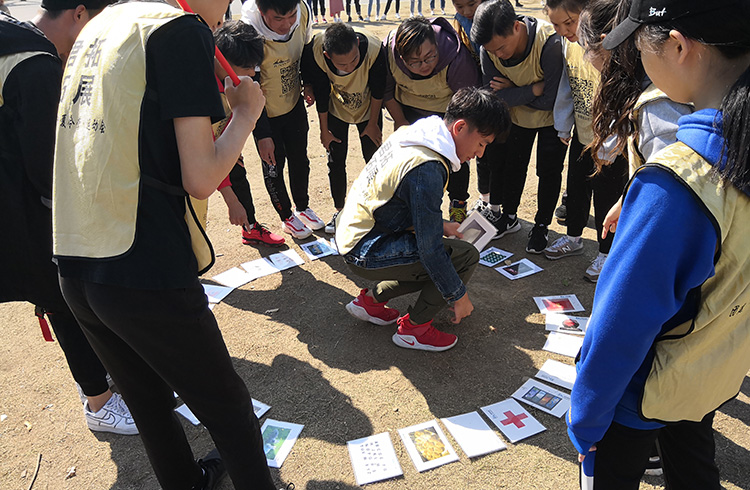 湖北艺术职业学院心理委员蔡甸国防园素质拓展活动